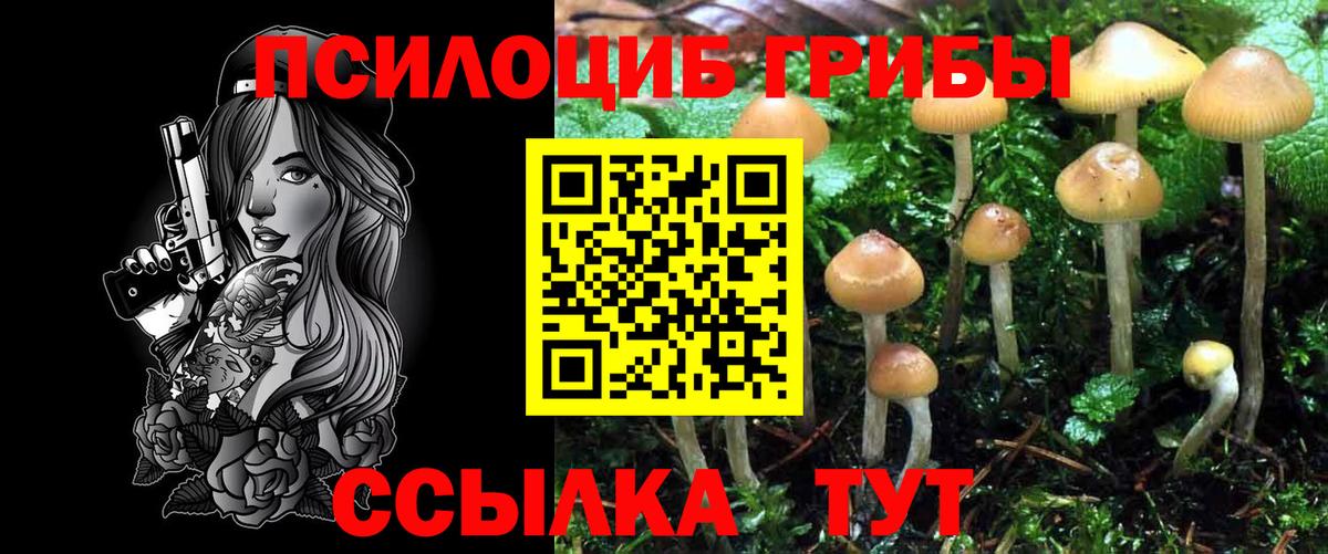 наркотики  Вход с VPN  Красноперекопск  Галлюциногенные грибы Psilocybe 